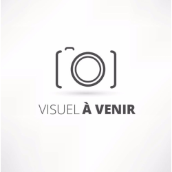 Samsung Galaxy S20 FE 5G 128 Go Gris 6,5 pouces Snapdragon 865 Smartphone Reconditionné