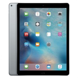 Apple iPad Pro 12,9" (2017) 64 Go Gris 12,9 pouces A10X Fusion WiFi Tablette Reconditionnée Grade A