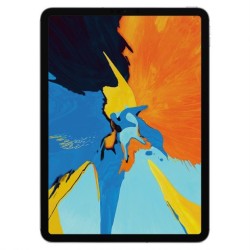 Apple iPad Pro 11" (2018) Gris