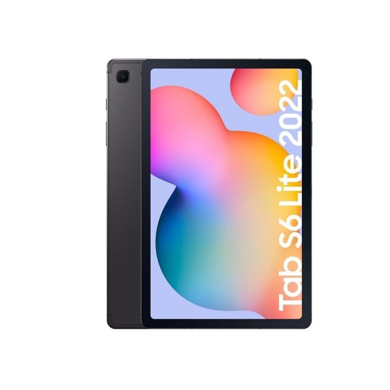 Samsung Galaxy Tab S6 Lite 10,4 SM-P619 64 Go Gris 10,4 pouces Snapdragon 720G 4 Go RAM WiFi 4G Tablette Reconditionnée Grade B