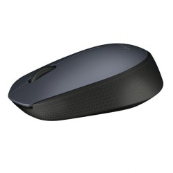 Logitech Souris Sans Fil M170