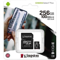 Kingston Carte Mémoire microSD 256 Go Noir Reconditionnée