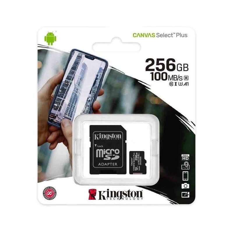 Kingston Carte Mémoire microSD 256 Go Noir Reconditionnée