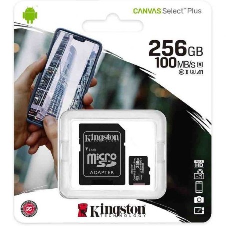Kingston Carte Mémoire microSD 256 Go Noir Reconditionnée
