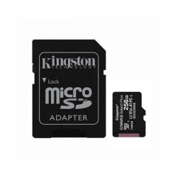 Kingston Carte Mémoire microSD 256 Go Noir Reconditionnée