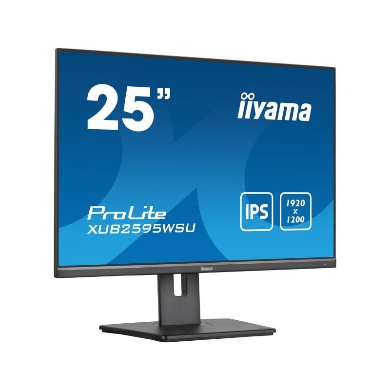 Ecran PC 25"9 Professionnel iiyama
