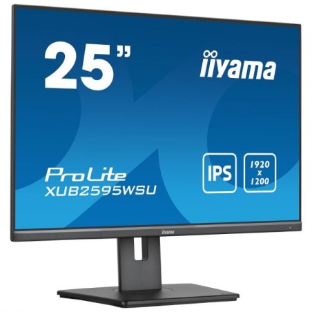 Ecran PC 25"9 Professionnel iiyama